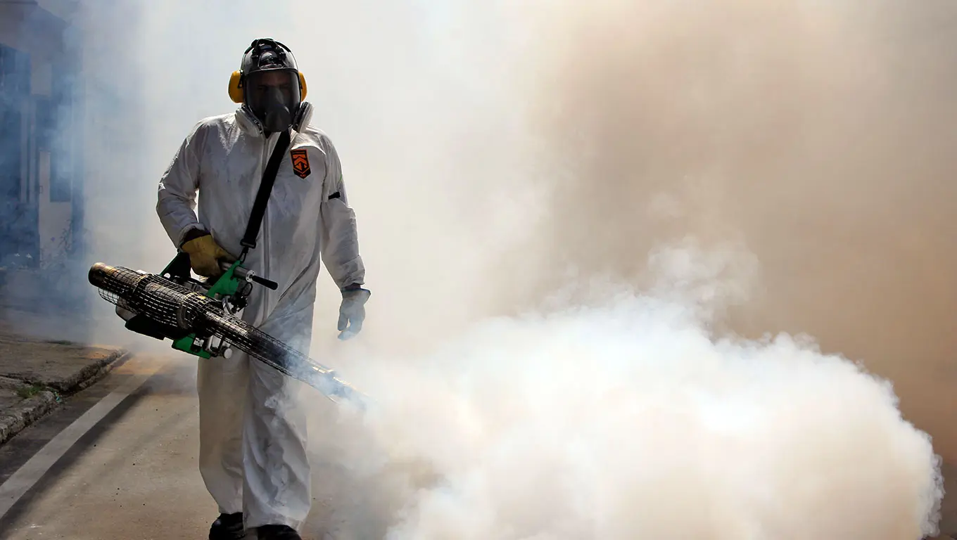 Fumigaci&oacute;n y desinsectaci&oacute;n profesional
